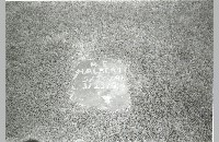 Bourland Cemetery, R.E. Halbert grave, 1988 (090-047-003)